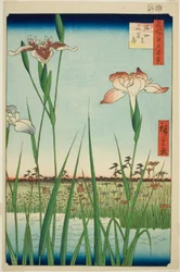 Iris a Horikiri (Horikiri no hanashobu), dalla serie "Cento vedute famose di Edo (Meisho Edo hyakkei)"