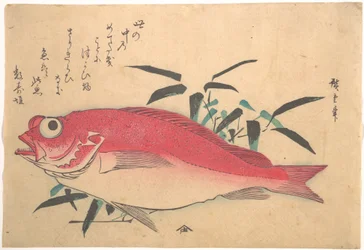 Pesce Medetai e bambù Sasaki, dalla serie Uozukushi (Ogni varietà di pesce)