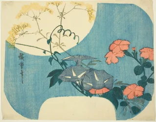 Glorie del mattino, garofani e fiori di fanciulla, dalla serie "Sette fiori autunnali al chiaro di luna"