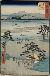 No.29 Traghetto sul fiume Tenryu, Mitsuke, luglio 1855