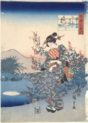 Noji: Sei fiumi Tama