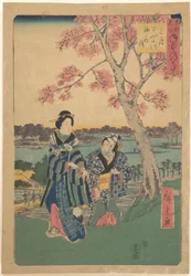 Osservazione dei fiori di prugno nel terzo mese presso il fiume Sumida, dalla serie Eventi annuali in luoghi celebri della capitale orientale (Tōto meisho nenjū gyōji sangatsu sumitagawa waka mōde)