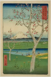 I dintorni di Koshigaya nella provincia di Musashi, dalla serie "Trentasei vedute del Monte Fuji"