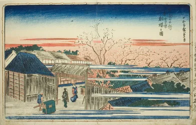 Vista dei ciliegi in fiore del mattino nel Nuovo Yoshiwara, dalla serie "Famosi panorami della capitale orientale"