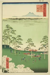 Vista a nord dalla collina di Asuka (Asukayama kita no chobo), dalla serie "Cento vedute famose di Edo (Meisho Edo hyakkei)"