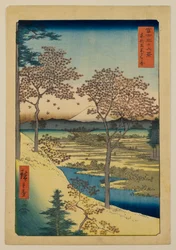 Yūhigaoka a Meguro nella Capitale Orientale, dalla serie «Trentasei vedute del Monte Fuji»