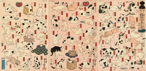 55 gatti che rappresentano le cinquantatré stazioni del Tokaido
