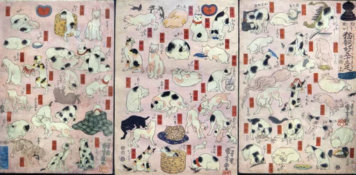Cinquantatré Gatti come Giochi di Parole per i Nomi delle Stazioni sulla Strada Tōkaidō (Sono mama jiguchi myōkaidō gojūsan biki), c.1848