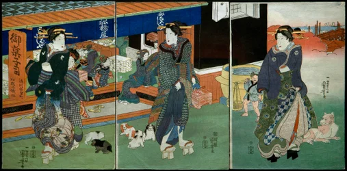 Davanti al negozio di dolci Funabashiya