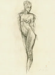 Graziosa figura nuda