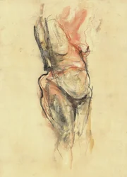 Studio del nudo rosso