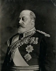 Re Edoardo VII, Alberto Edoardo