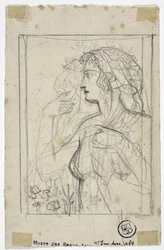 Profilo di donna (disegno)