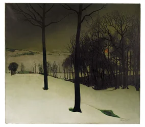 La foresta in inverno