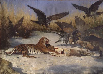 Un mangiatore di uomini, 1870s-1880s