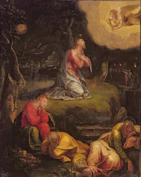 Immagine sconosciuta