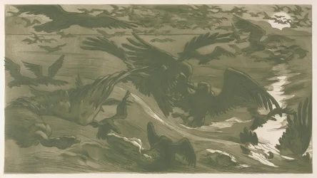 Uccelli rapaci, 1893
