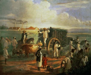 Il mulino di Cana