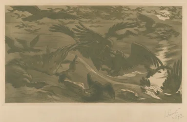 Uccelli da preda, 1893