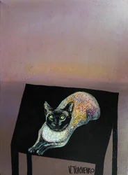 Gatto siamese che si stira