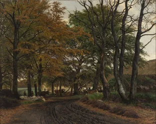 Una Strada Battuta sotto Vecchi Alberi