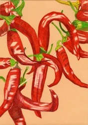 Peperoni rossi piccanti