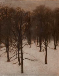 Parco Søndermarken in inverno