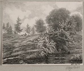 Colline presso una palude
