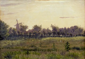 Il prato vicino alla casa dell