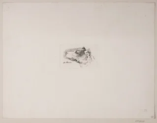Testa di cane