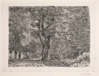La casa nel bosco