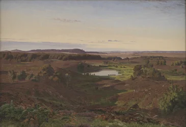 Paesaggio nel nord della Zelanda. Pomeriggio