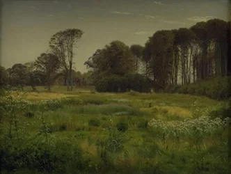 Paesaggio estivo. Horneland presso Fåborg