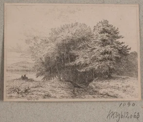 Margine di una foresta
