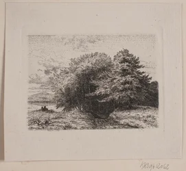 Margine di una foresta