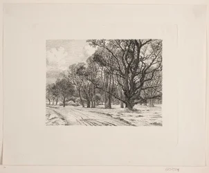 Inverno nel bosco