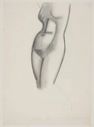 Modella femminile, torso