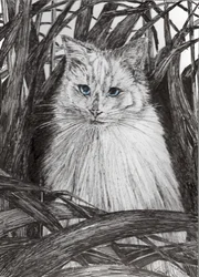 Monty nella giungla