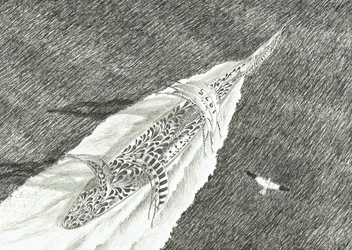 Creatori di Tempeste Capo Canaveral