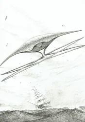 Creatori di tempeste Foxe Basin, 2022