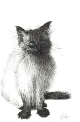 Bambino, 2004