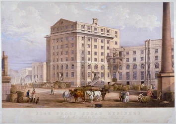 Raffineria di zucchero in Leman Street, Stepney, Londra, 1851