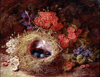 Natura morta con nido di uccelli e fiori