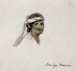 Guerriero Navajo, 1869-1871