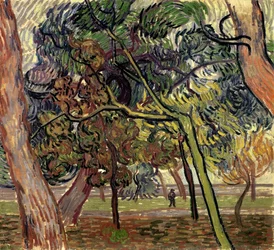 Pini nel giardino del manicomio, 1889