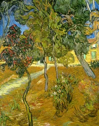 Alberi nel giardino del manicomio