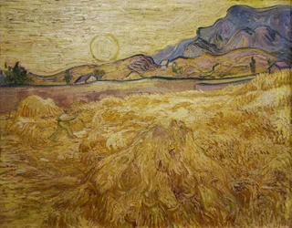 Campo di grano con mietitore e sole