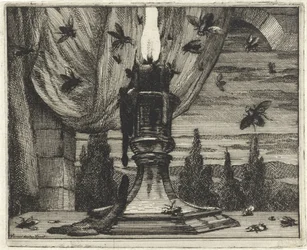 Mosche attratte dalla luce di una candela