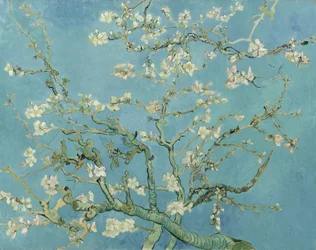 Fiori di mandorlo