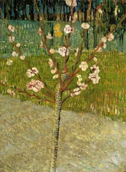 Mandorlo in fiore, 1888
